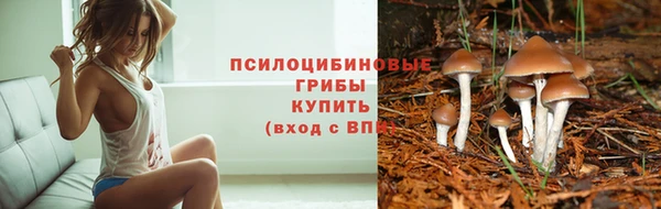 марки nbome Костерёво