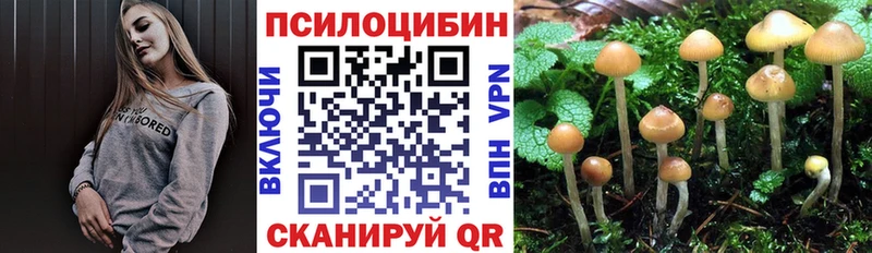 Купить  Гай  Галлюциногенные грибы прущие грибы 