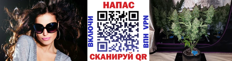 Купить где  Гай  Бошки Шишки SATIVA & INDICA 